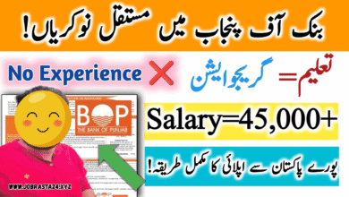 Bank Of Punjab Jobs