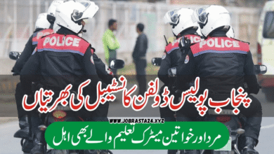 Dolphin Police Jobs