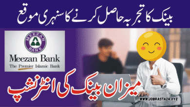Meezan Bank Jobs