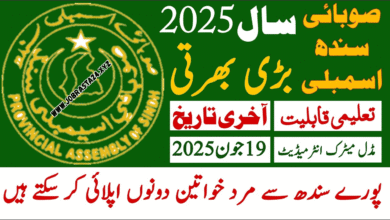 Sindh Assembly Jobs