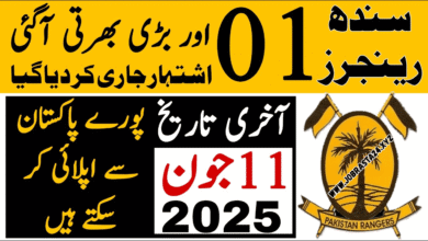 Sindh Rangers Jobs